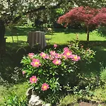 Rosen - * Bad Reichenhall