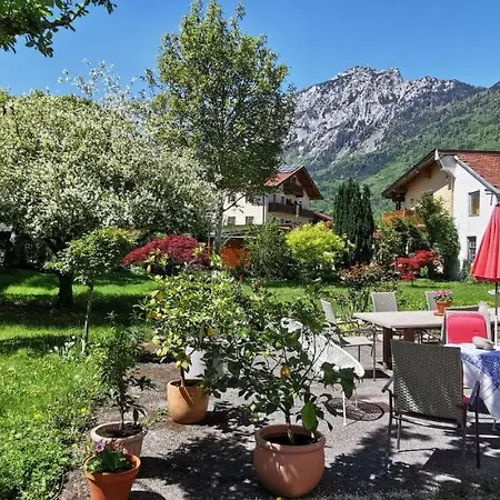 Rosen - * Bad Reichenhall