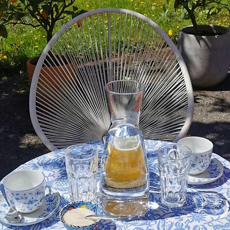 Rosen - Bad Reichenhall