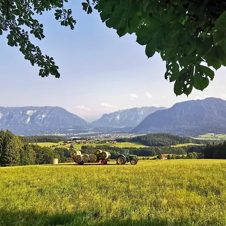 Rosen - * Bad Reichenhall