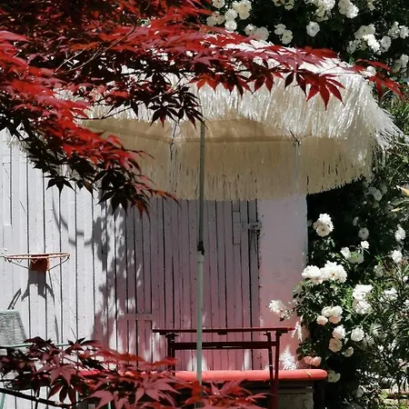 Rosen - *