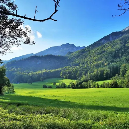 Rosen - * Bad Reichenhall