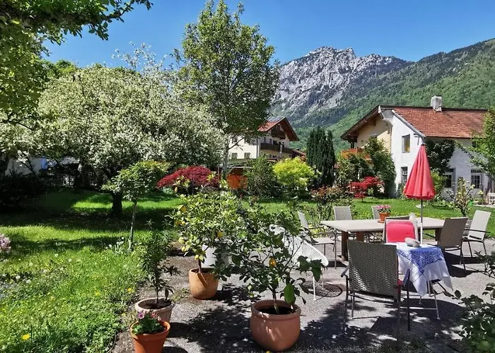 Rosen - * Bad Reichenhall