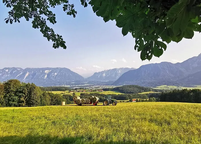 Rosen - * Bad Reichenhall