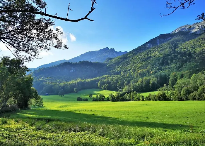 Rosen - * Bad Reichenhall
