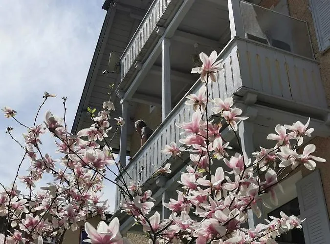 Rosen - Bad Reichenhall