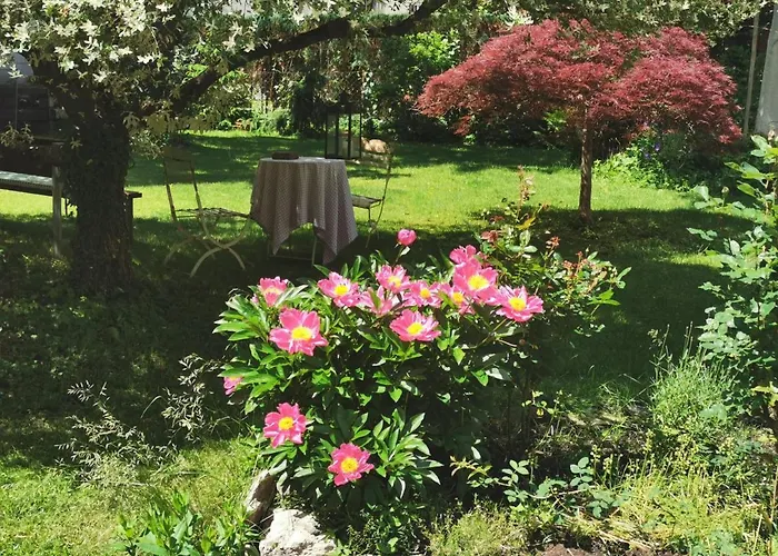 Rosen - * Bad Reichenhall